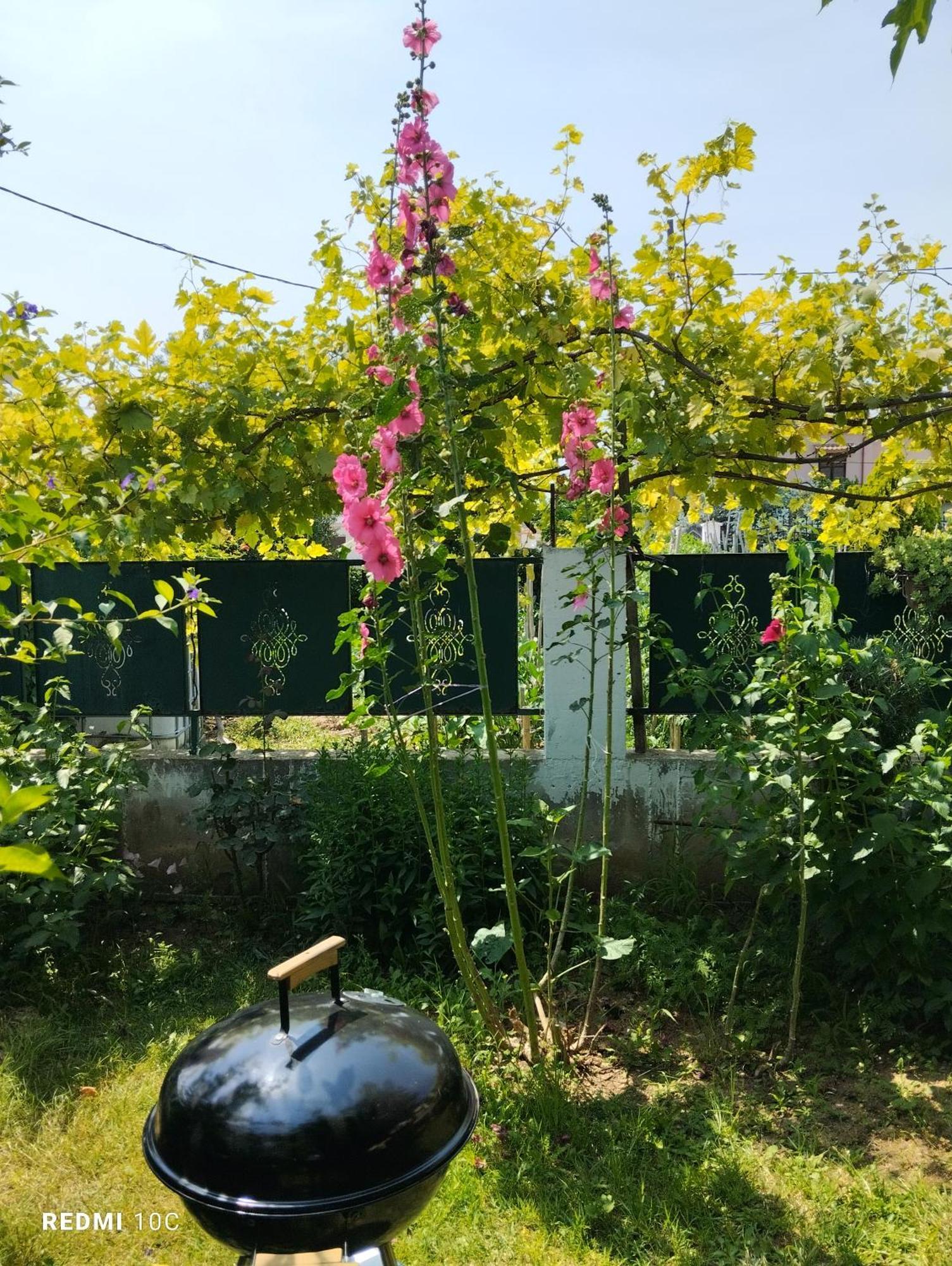 Holiday Home In Chalkidiki, Lakkoma Eksteriør billede